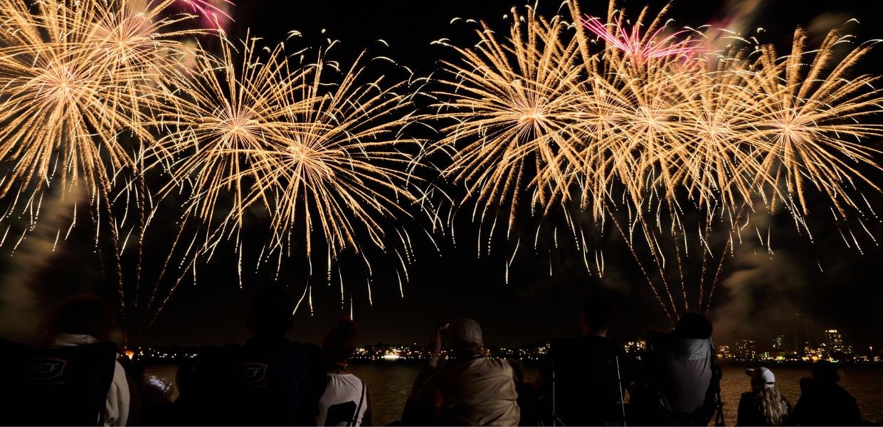 people watching fireworks